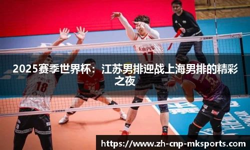 2025赛季世界杯：江苏男排迎战上海男排的精彩之夜